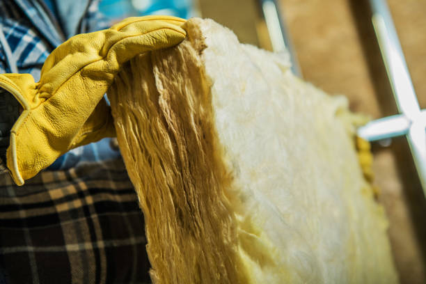 Professional Insulation Contractor in Reno, OH