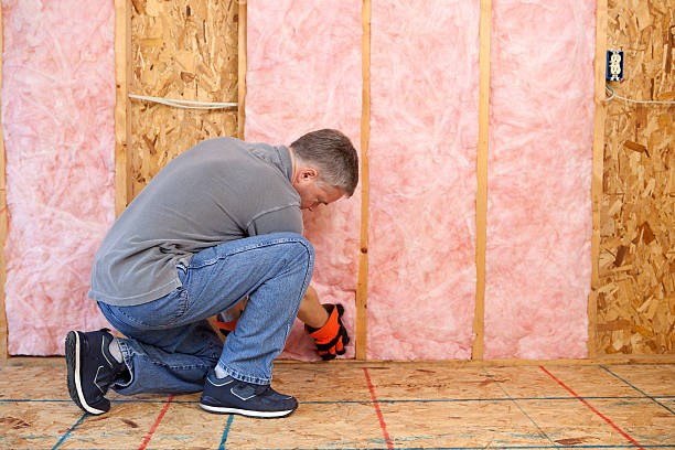 Best Geographic-Specific Insulation Services in Reno, OH