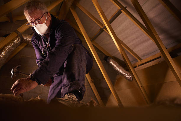Best Eco-Friendly Insulation in Reno, OH